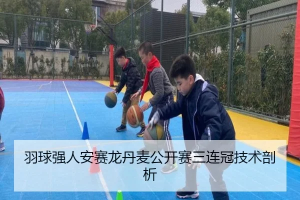 羽球强人安赛龙丹麦公开赛三连冠技术剖析